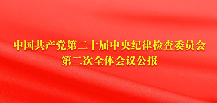 中国共产党贵州省第十三届纪律检查委员会第二次全体会议决议